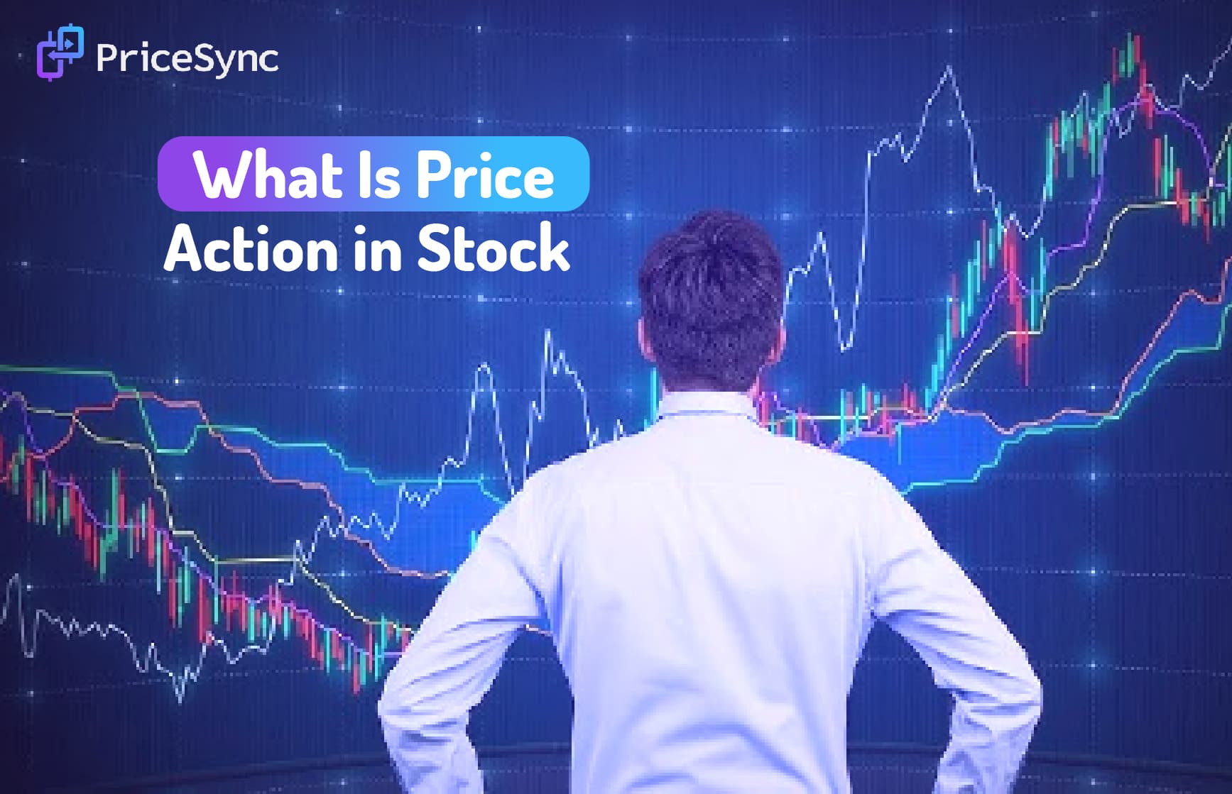 What Is Price Action in Stock: An Easy Introduction